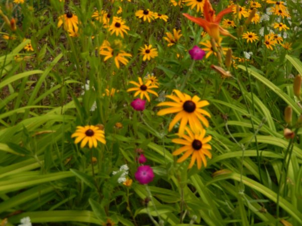 DSCN2267.JPG