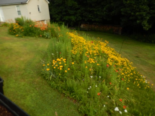 DSCN2263.JPG