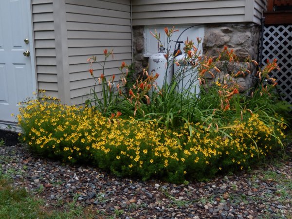 DSCN2272.JPG