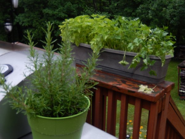 DSCN2269.JPG