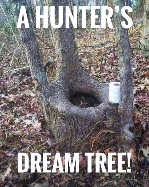 Hunters dream tree.jpg