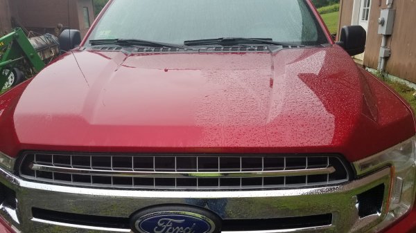 20190723_073820.jpg