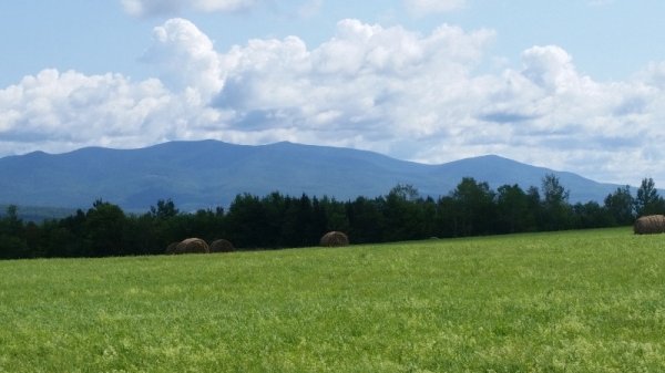 White Mountains  and hay bales.jpg