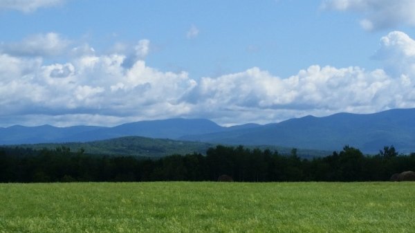 White Mountains 1.jpg