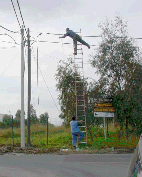 High wire act.JPG
