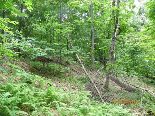 100_9458.JPG