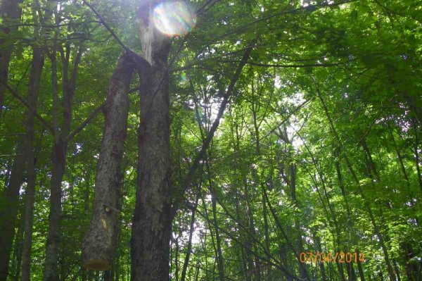 100_9461.JPG