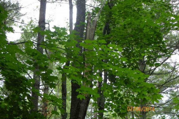 100_9465.JPG