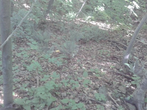 20140705_134637.jpg