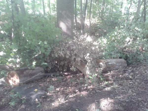 20140705_164619.jpg