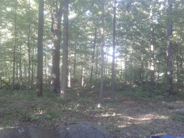 20140705_183106.jpg