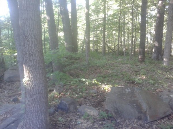 20140705_183045.jpg