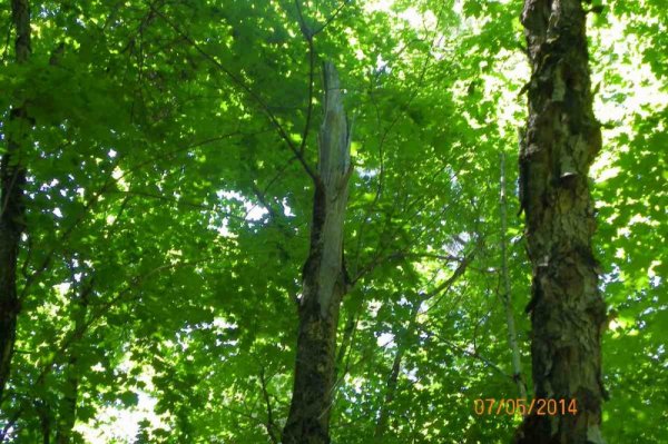 100_9485.JPG