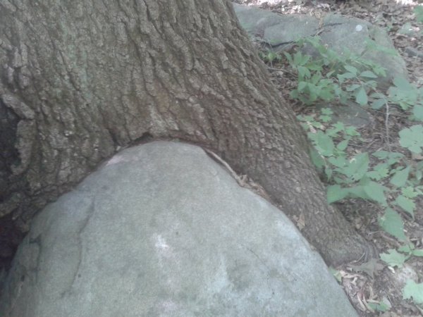 20140706_132438.jpg