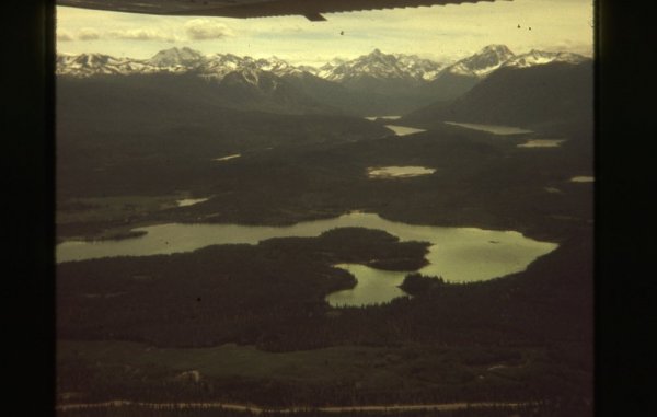 Slide373web - Copy.jpg