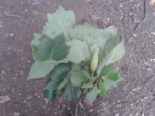20140709_163453.jpg