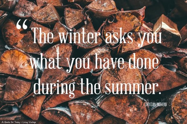 preparations-for-winter-3-of-52-quotes-Im-sharing-this-year.jpg