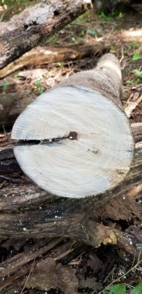 20190824_150833.jpg