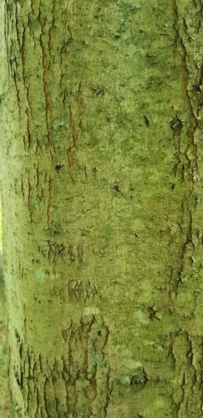 20190824_171343.jpg