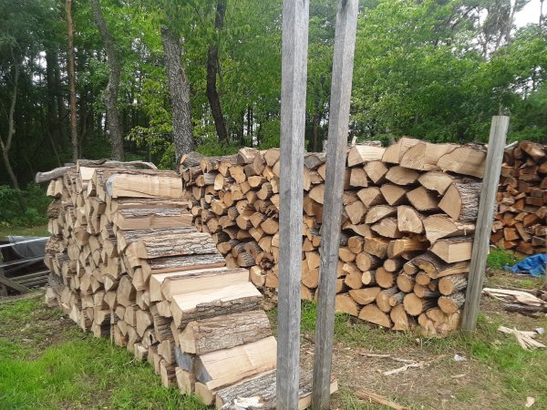 20190825_142356.jpg