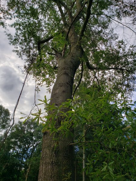 20190824_093643.jpg