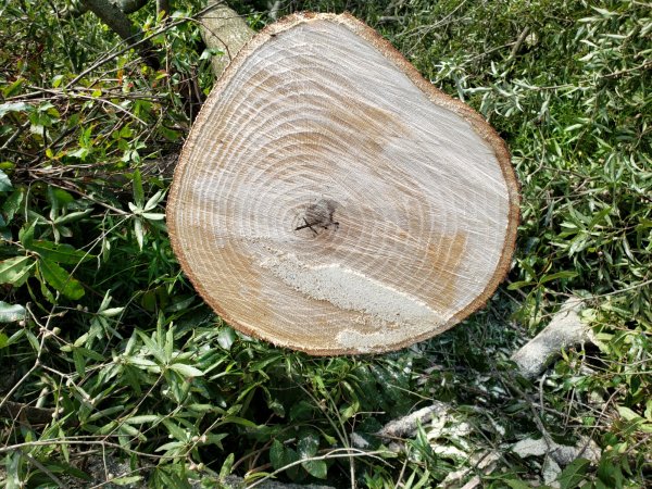 20190824_105529.jpg