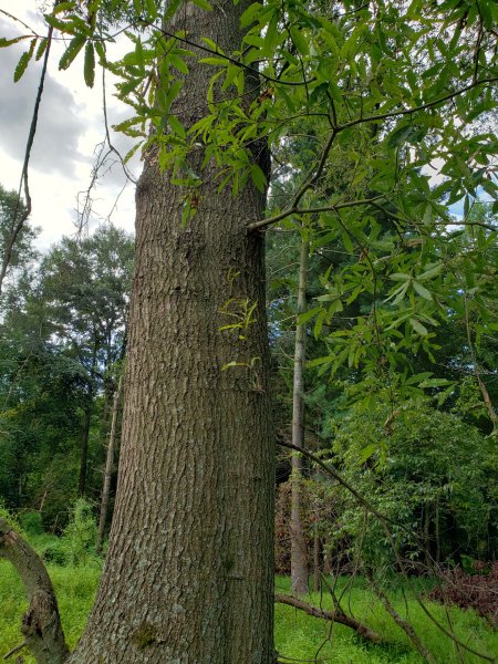 20190824_093646.jpg