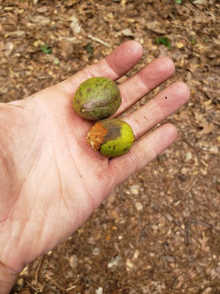 20190825_142841 - Copy.jpg