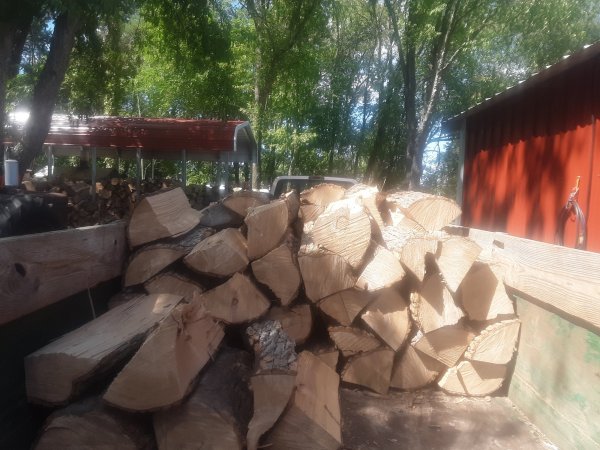20190824_150029.jpg