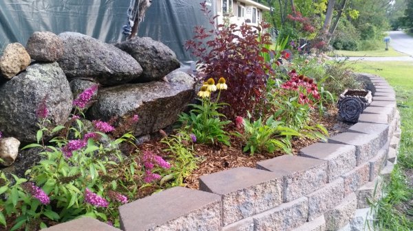 roadside garden from lily side.jpg