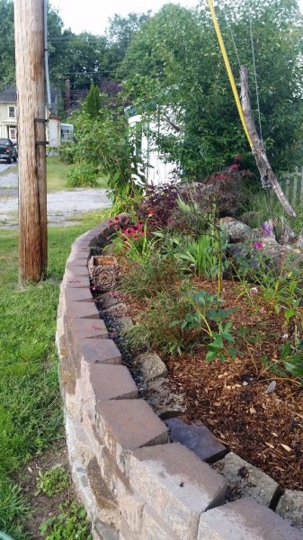 roadside garden from stump side.jpg