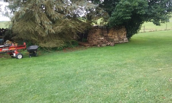 20190902_105531.jpg