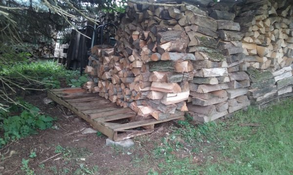 20190902_131034.jpg