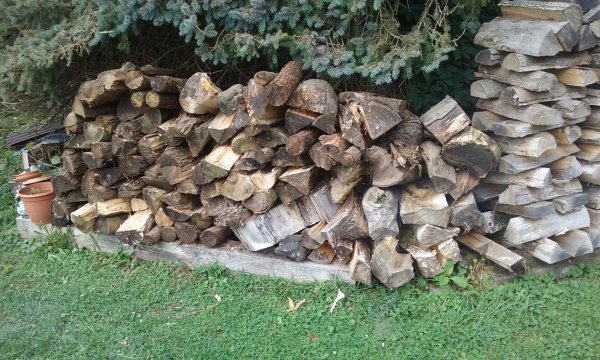 20190902_132204.jpg