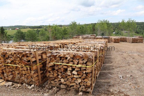 20190725-firewood-field-3.jpg
