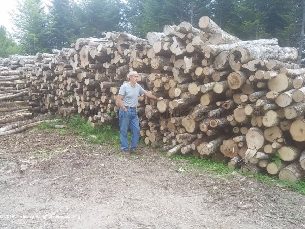 20190819-firewood-logs-jim.jpg