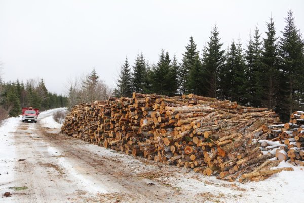 20190105-112-cord-firewood-1.jpg