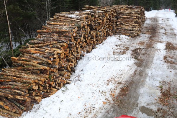 20190105-112-cord-firewood-2.jpg