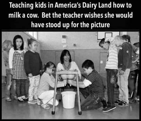 Teaching how to milk cow.jpg