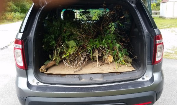 truck full of garden clippings.jpg