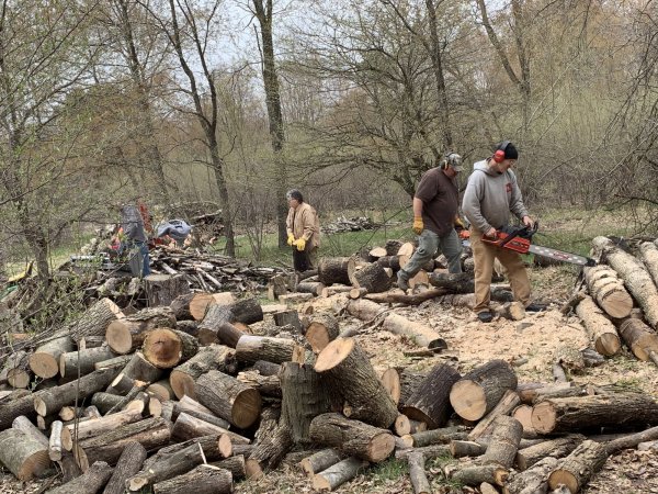 Working another log pile.jpeg