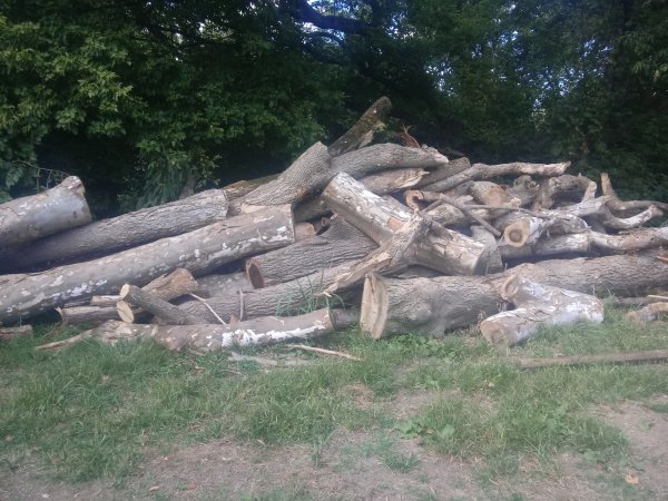 20190907_155903.jpg