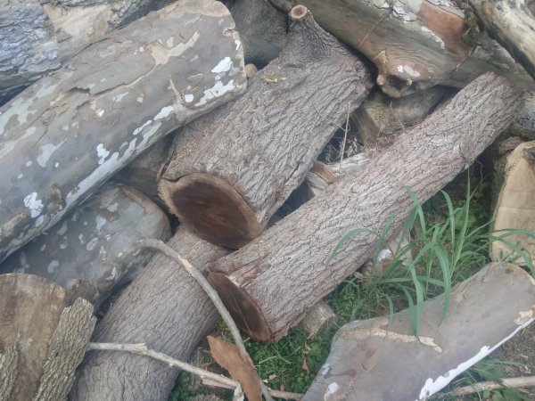 20190907_155840.jpg