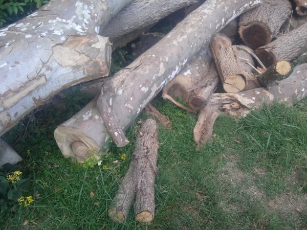 20190907_155827.jpg