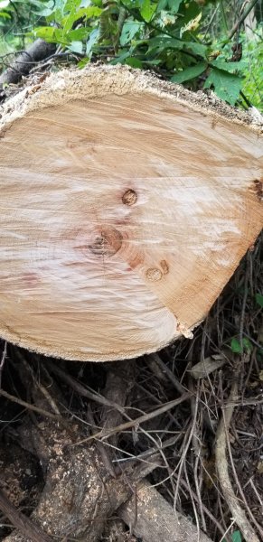 20190908_102509.jpg