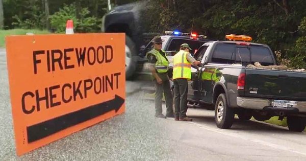 firewood-checkpoints.jpg