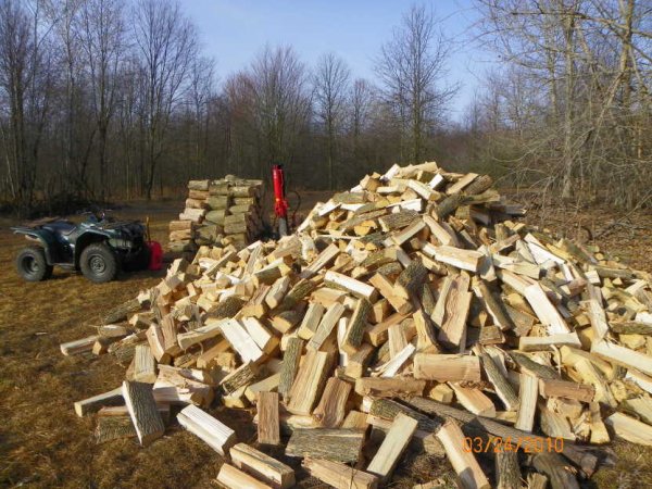 Wood split almost done 2010.JPG