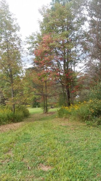 20190916_132347.jpg