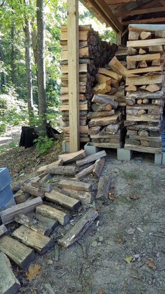 wood-be-bandits strke again..jpg