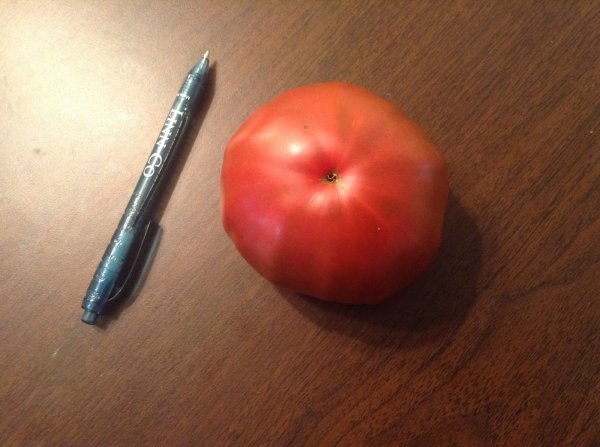 image.jpeg
